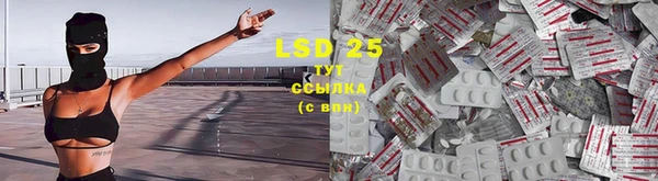 таблы Губаха