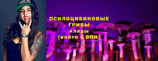 MDMA Грязовец