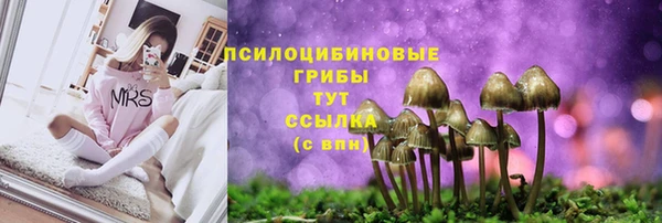 тгк Зерноград